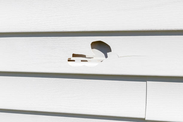 Best Fiber Cement Siding Installation  in Temesl Valley, CA